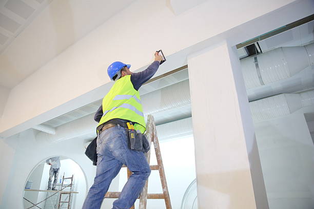 Best Drywall for New Construction  in Mount Carroll, IL